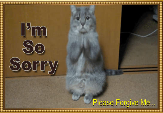 Cat Says I’m Sorry...