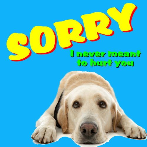A Real Sorry Card For You.