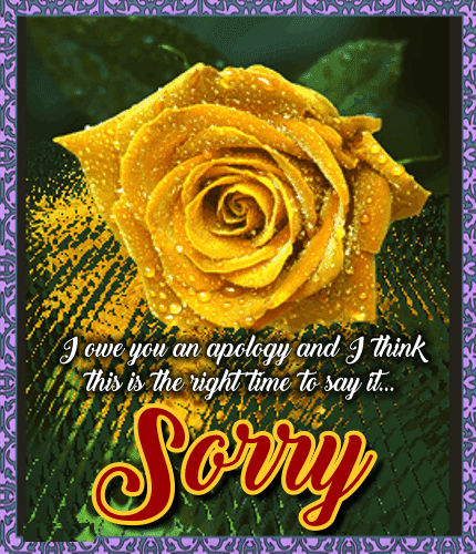 I Owe You An Apology.