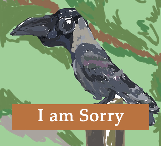 I Am Sorry Crow.