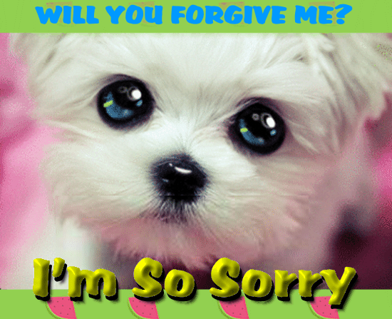A Cute Sorry Ecard Just For You.
