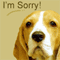 Hey I Am Sorry!