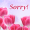 Really Very Sorry!