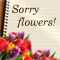Flowers Are Saying Sorry!