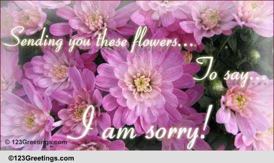 Express Sorry With Flowers! Free Sorry eCards, Greeting Cards | 123 ...