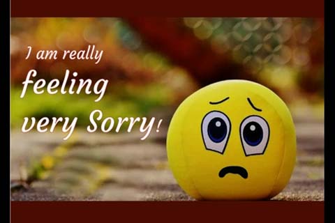 Sorry I Have Seen Tears In Your Eyes... Free Sorry eCards | 123 Greetings