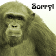 Sorry To Hurt You!
