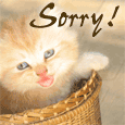 A Cute Sorry!