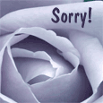 Sorry For Being Silly!