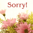 Say Sorry With These Flowers...