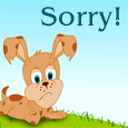 Not Just Sorry!