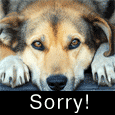 Sorry To Hurt Your Feelings!