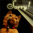Please Forgive Me For My Mistake!