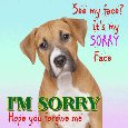 Everyday Sorry Cards, Free Everyday Sorry Wishes, Greeting Cards | 123 ...