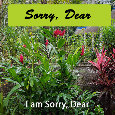 Sorry Dear, Garden...