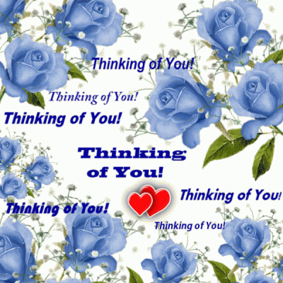 Blue Roses And A Thought For You...