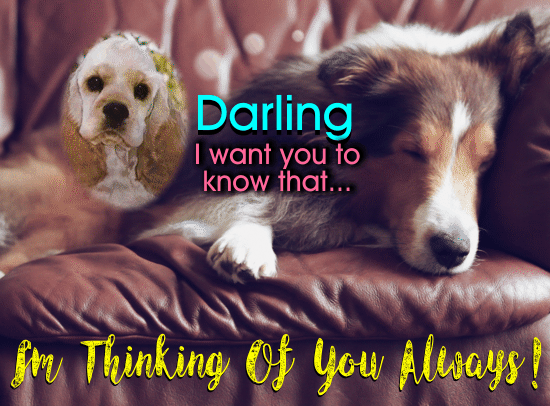 A Cute Thinking Of You Ecard For You.