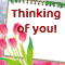 Everyday Cards: Thinking of You