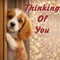 Send A Cute Thinking Of You Ecard