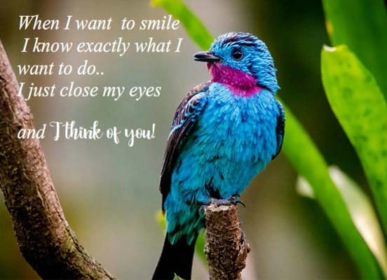 I Close My Eyes & I Think Of You! Free Thinking of You eCards | 123 ...