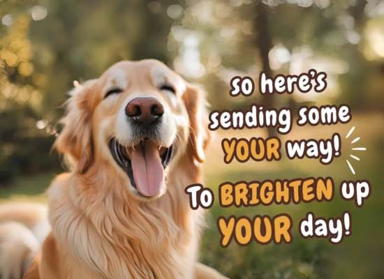 You Are A Spark Of Joy In My Thoughts