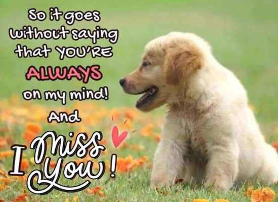 You Mean The World To Me!