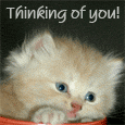 You Are In My Mind 24 X 7!