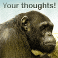 Your Thoughts Refresh Me!