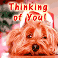 Just Thinking Of You Card.