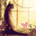 In My Heart.