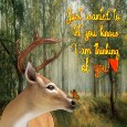 Thinking Of You Deer.