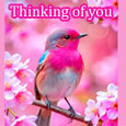 Every Minute I Think Of You...