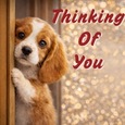 Send A Cute Thinking Of You Ecard