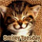 Happy And Smiling Tuesday!