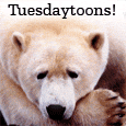 It's jus' Tuesday!