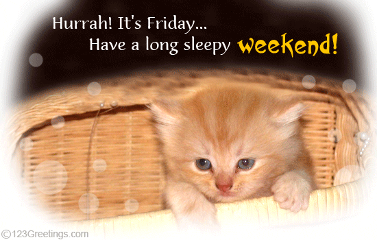 Have A Sleepy Weekend! Free Enjoy the Weekend eCards, Greeting Cards ...