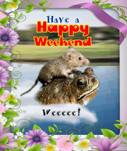 A Cute And Funny Weekend Ecard.