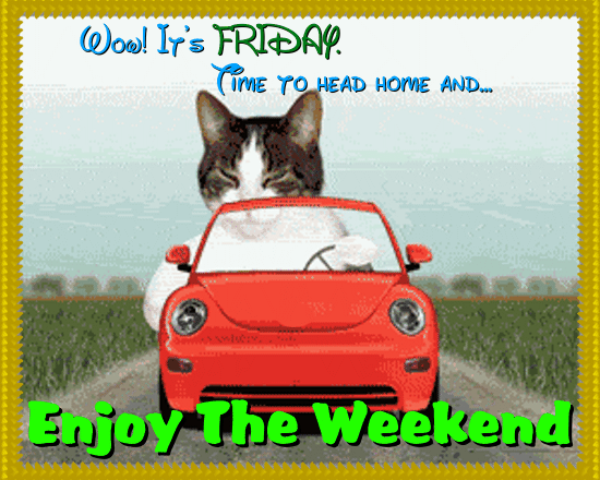 Cat Heads Home To Enjoy The Weekend.