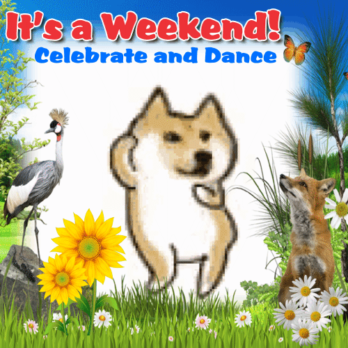 Celebrate And Dance On A Weekend.