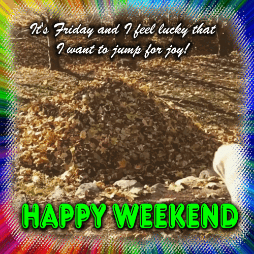 Dog Wants A Happy Weekend. Free Enjoy the Weekend eCards ...