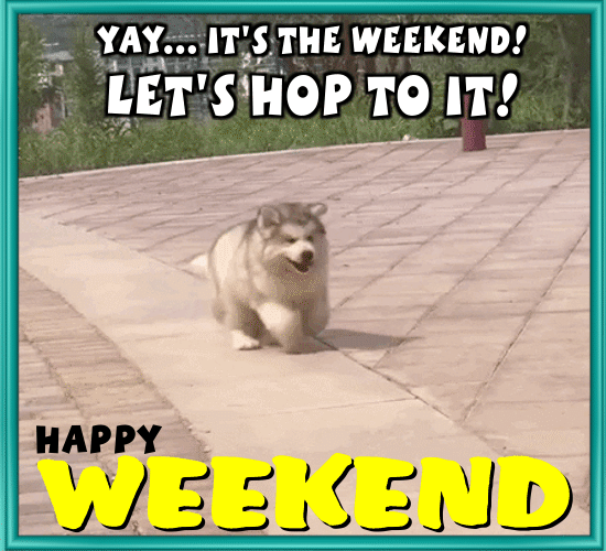 Let’s Hop To It!
