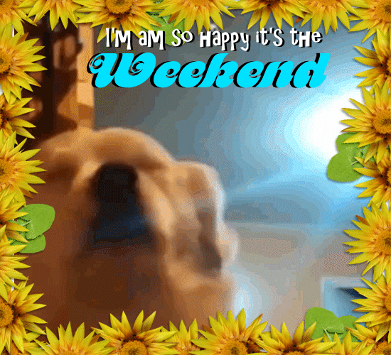I Am So Happy It’s The Weekend!