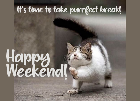 It’s Time To Take Purrfect Break! Free Enjoy the Weekend eCards | 123 ...
