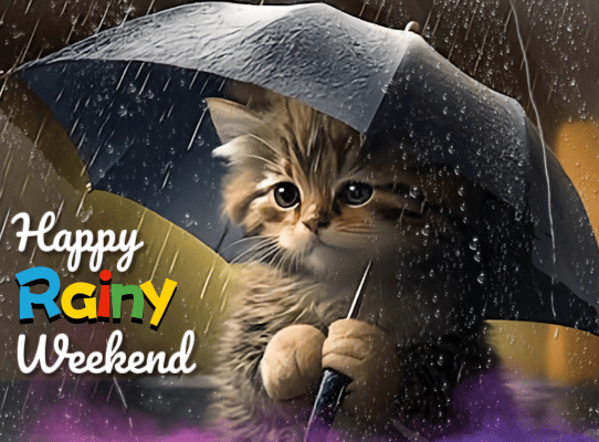 It’s A Rainy Weekend.