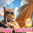 The Weekend Vibes.