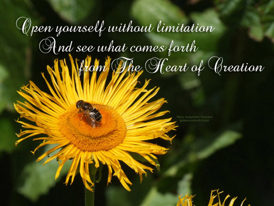 Open Yourself Without Limitation.
