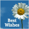 Best Wishes Just For You!