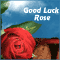 Good Luck And Have A Great Day!