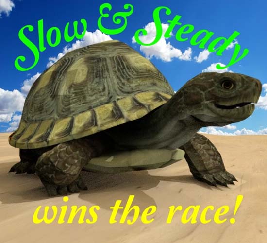 Encouragement Tortoise. Free Encouragement eCards, Greeting Cards | 123 ...