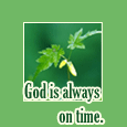 God Is Always On Time.